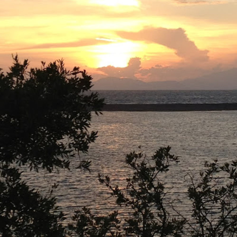 Meet your Posher, Lynnley